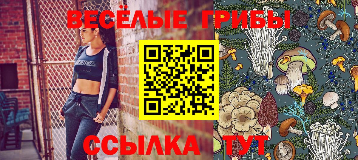 Псилоцибиновые грибы Psilocybe  Вход с VPN  Чапаевск 